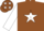 Silk - Brown, white star, brown stars on white sleeves