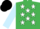 Silk - Emerald green, white stars, light blue sleeves, black cap