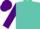 Silk - Turquoise, purple sleeves, purple cap