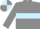 Silk - Grey body, light blue hoop, grey arms, grey cap, light blue quartered