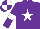 Silk - Purple, white star, white armlet, quartered cap