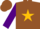Silk - Brown, gold star, purple sleeves, brown cap