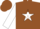 Silk - Brown, white star, brown stars on white sleeves, brown cap