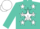 Silk - Turquoise, turquoise 'cr' on black framed white star, black framed white stars, white cap