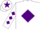 Silk - White body, purple diamond, white arms, purple diamonds, white cap, purple star