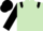 Silk - Light green, black epaulets, sleeves and cap