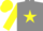 Silk - Grey, Yellow star, sleeves and cap.