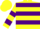 Silk - Yellow, two purple hoops, purple bars on sleeves