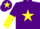 Silk - Purple, yellow star, halved sleeves and star on cap.