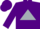 Silk - Purple, silver triangle