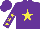 Silk - Purple, yellow star, yellow stars on sleeves, purple cap