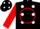 Silk - Black,red circle, white j, white dots on red slvs