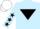 Silk - LIGHT BLUE, BLACK yolk, black inverted triangle, stars on sleeves, WHITE cap