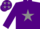 Silk - Purple body, grey star, purple arms, purple cap, grey stars