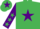 Silk - Emerald Green, Purple star, Purple sleeves, Emerald Green stars, Emerald Green cap, Purple star