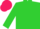 Silk - Lime green, pink trim, desert rose emblem on back, mat cap