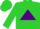 Silk - Lime green, purple triangle