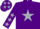 Silk - Purple, silver star, purple sleeves, silver stars, purple cap, silver stars