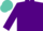 Silk - Purple, turquoise trim, frog emblem on sleeve, carousel emblem on back, mat cap