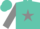 Silk - Turquoise, grey star, turquoise  'boo' on grey sleeves