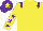 Silk - Yellow, purple epaulets, yellow sleeves, purple stars, purple cap, yellow star