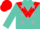 Silk - Turquoise, red chevron, red side inset, silver stars on turquoise sleeves, red cap