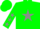 Silk - green, grey star, green sleeves, grey stars, green cap