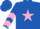 Silk - Royal blue, pink star, chevrons on sleeves
