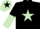 Silk - Black, light green star, halved sleeves, light green cap, black star