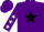 Silk - Purple, white trim on black star, white stars on sleeves