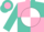 Silk - Pink & turquoise quarters, 'horseplayers racing clubCom' on white ball on back, pink sleeve, turquoise sleeve