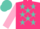 Silk - Hot pink, turquoise stars, pink sleeves, turquoise cap