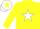 Silk - Yellow, White star, White cap, Yellow star.