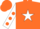 Silk - orange, white star, white sleeves, orange spots