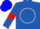 Silk - Royal blue, white circle, red armlets on sleeves, blue cap