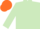 Silk - Light green, light green arms, orange cap