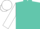 Silk - Turquoise, thunderbird emblem, white sleeves, white cap