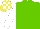 Silk - Light green, white sleeves, yellow & white check cap