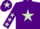 Silk - Purple, light green star, purple sleeves, light green stars, purple cap, light green star