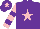 Silk - Purple, pink star, pink and purple hooped sleeves, purple cap, pink star