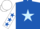 Silk - Royal blue, light blue star, white sleeves, royal blue stars, white cap