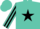 Silk - Turquoise, black star, black star and stripe on sleeves, turquoise cap