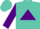 Silk - Turquoise, Purple Triangle, Purple Sleeves