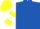 Silk - Royal blue, white circled yellow rr, yellow bars on sleeves, yellow cap