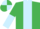 Silk - EMERALD GREEN, light blue panel, halved sleeves, quartered cap