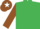 Silk - EMERALD GREEN, brown sleeves, brown cap, white star