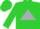 Silk - Lime green, lime green 'al' inside silver triangle