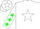 Silk - White, dkGreen star, white  'c' dk green stars on sleeves