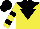 Silk - Yellow, black inverted triangle and yoke, hooped sleeves, black cap