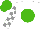 Silk - White, white pjg on kelly green ball, kelly green blocks on sleeves, white blocks on kelly green cap